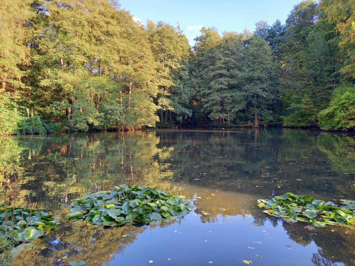 Ferienwohnung Am Waldsee Mit Schwimmbad غرنباخ المظهر الخارجي الصورة