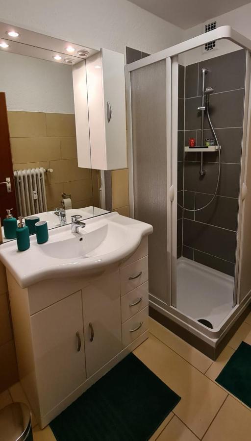 Ferienwohnung Am Waldsee Mit Schwimmbad غرنباخ المظهر الخارجي الصورة