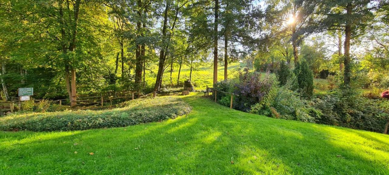 Ferienwohnung Am Waldsee Mit Schwimmbad غرنباخ المظهر الخارجي الصورة
